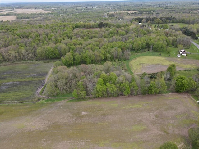 13315 Red Creek Rd, Wolcott, NY 14590