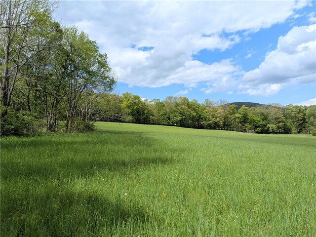 659 W Highland Rd, Stamford, NY 13788 - photo 3