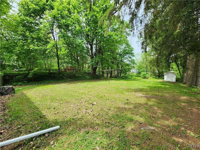 view of green lawn featuring a shed and an outdoor structure