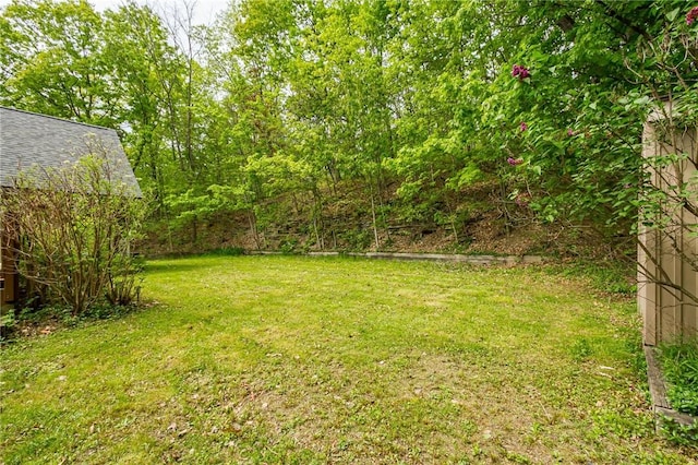 view of grassy yard