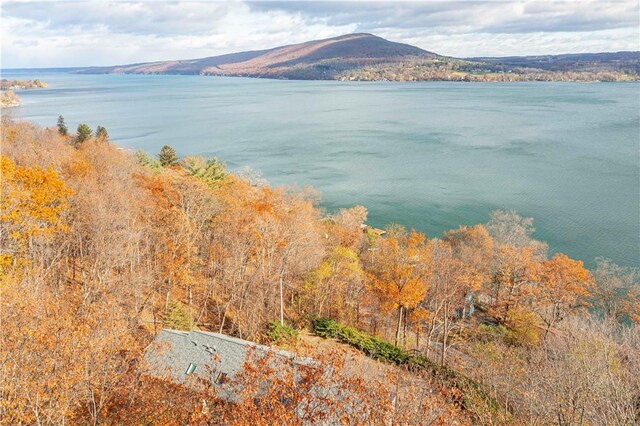 water view with a mountainous background