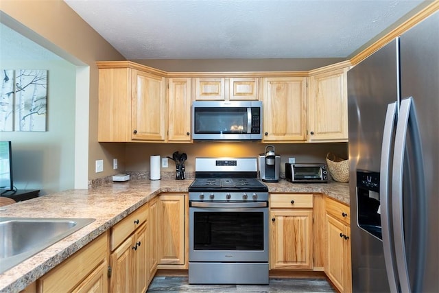 13 Hawthorn Cir, Geneseo, NY 14454 - kitchen featuring stainless steel appliances, light brown cabinets, light countertops, a sink, and dark wood finished floors