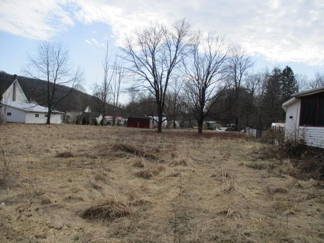 4 Main St, Barton, NY 14859 - view of yard