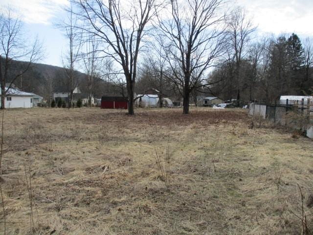 4 Main St, Barton, NY 14859 - view of yard