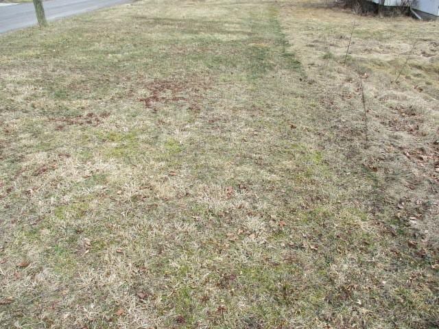 4 Main St, Barton, NY 14859 - view of yard