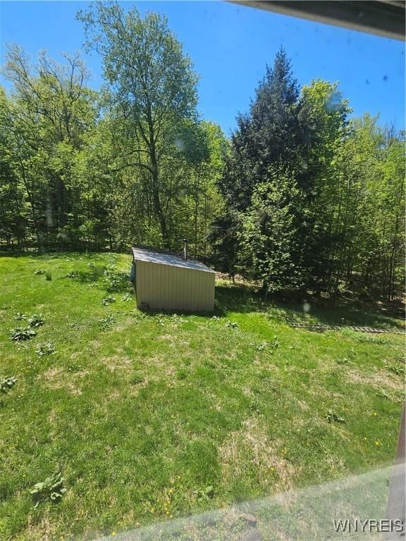2711 Lenox Rd, Collins, NY 14034 - view of grassy yard