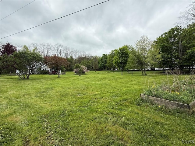 62 Pleasant Valley Rd, Groton, NY 13073 - view of grassy yard featuring a vegetable garden