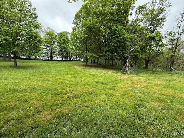 62 Pleasant Valley Rd, Groton, NY 13073 - view of grassy yard
