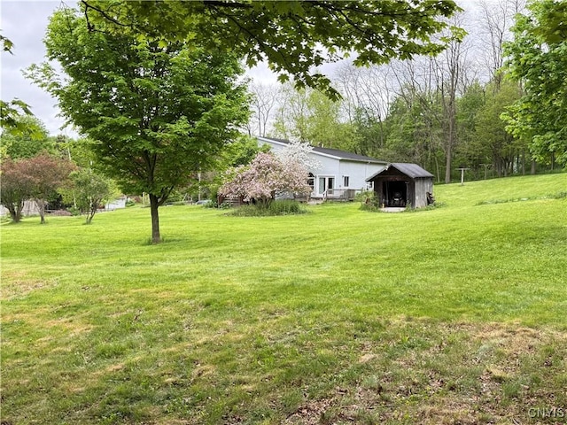 62 Pleasant Valley Rd, Groton, NY 13073 - view of grassy yard featuring a storage unit and an outbuilding