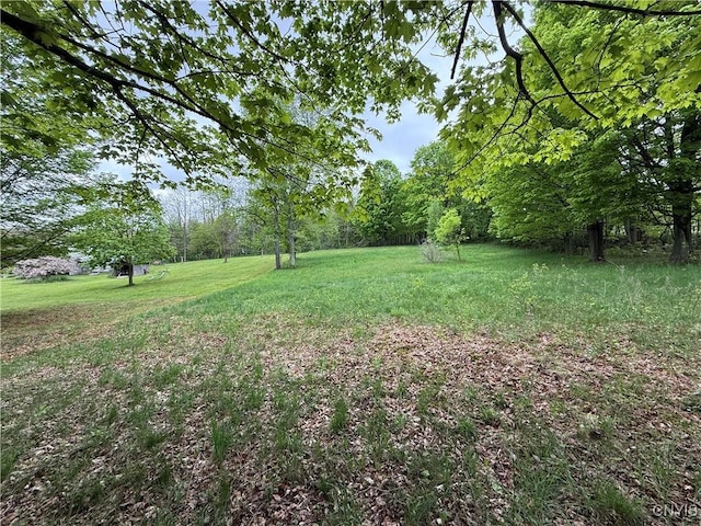 62 Pleasant Valley Rd, Groton, NY 13073 - view of grassy yard