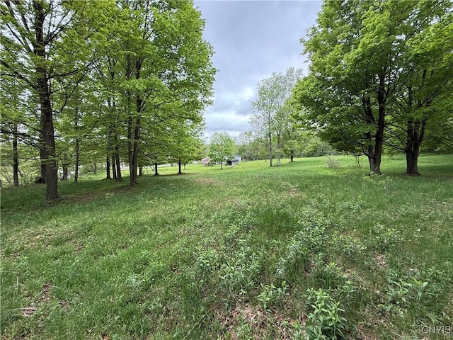 62 Pleasant Valley Rd, Groton, NY 13073 - view of yard
