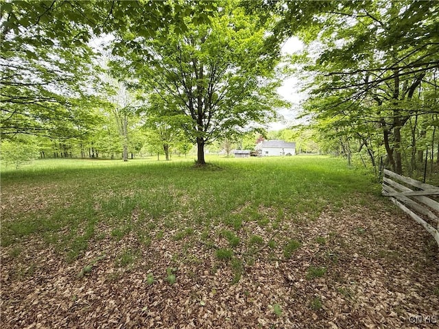 62 Pleasant Valley Rd, Groton, NY 13073 - view of yard