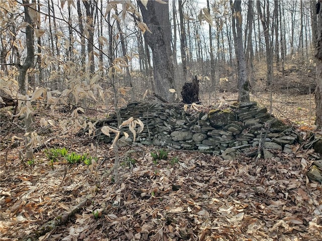 LOT3 Goddards Rd, New Lisbon, NY 13810