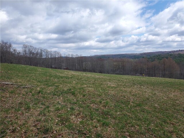 LOT3 Goddards Rd, New Lisbon, NY 13810