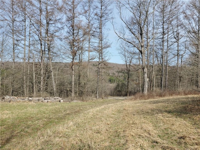 LOT3 Goddards Rd, New Lisbon, NY 13810