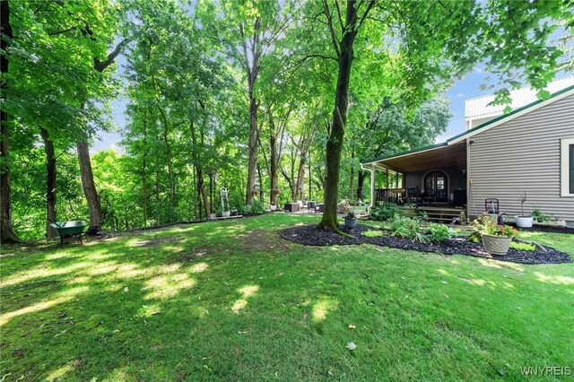 11020 Fairview Dr, Perrysburg, NY 14070 - photo 46