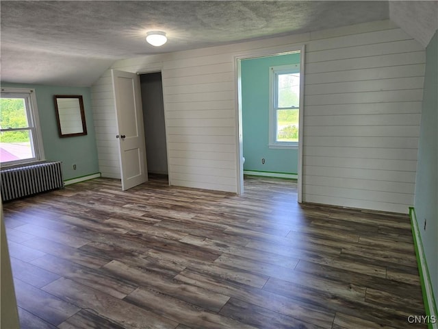 343 N Peterboro St, Lenox, NY 13032 - spare room featuring radiator, lofted ceiling, a textured ceiling, and dark wood-type flooring
