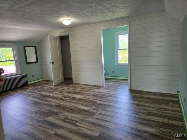 343 N Peterboro St, Lenox, NY 13032 - spare room featuring radiator, vaulted ceiling, a textured ceiling, dark wood finished floors, and wood walls