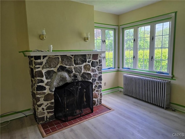343 N Peterboro St, Lenox, NY 13032 - detailed view of radiator heating unit, wood finished floors, a stone fireplace, and baseboards