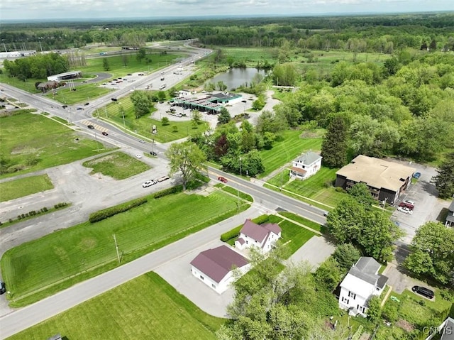 343 N Peterboro St, Lenox, NY 13032 - aerial view of a nearby body of water and a heavily wooded area