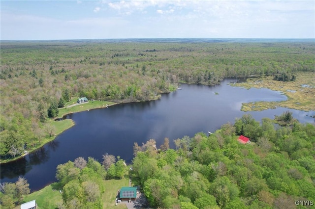 aerial view of property's location with a forest and a nearby body of water