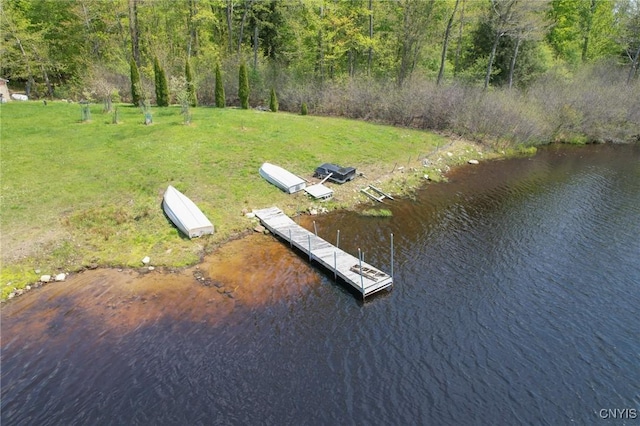 drone / aerial view of a large body of water