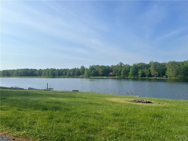 water view with a forest