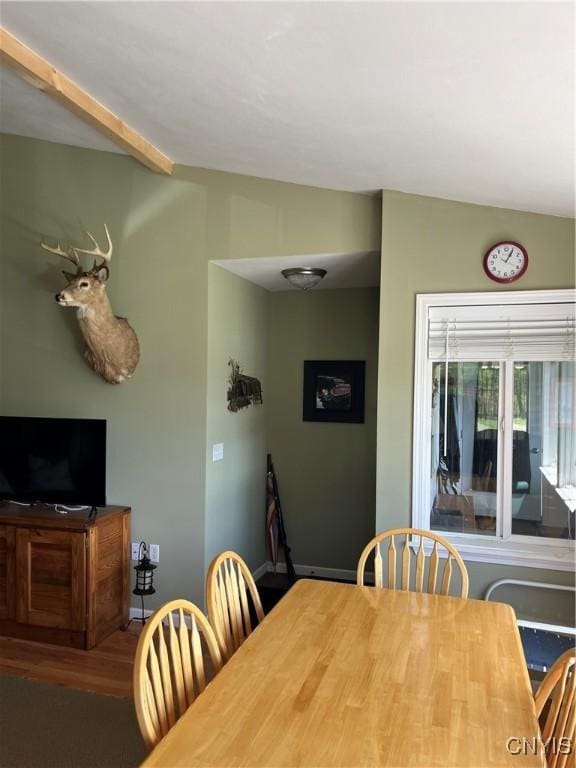 dining room featuring wood finished floors