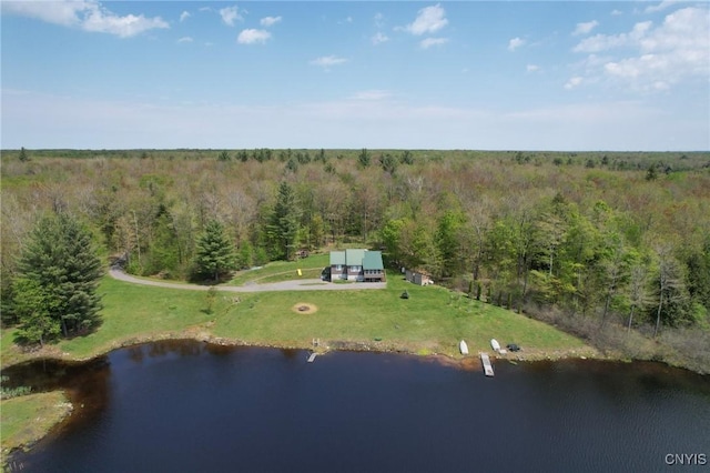 aerial view of property's location featuring a forest and a large body of water