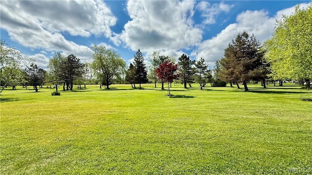 6975 Sweetland Rd, Evans, NY 14047 - photo 28