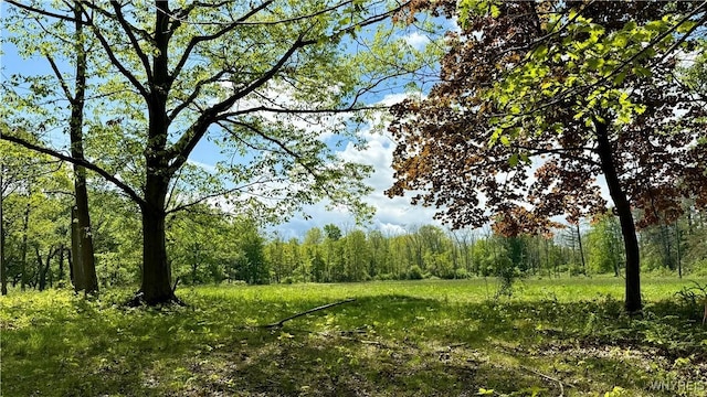 6975 Sweetland Rd, Evans, NY 14047 - photo 49