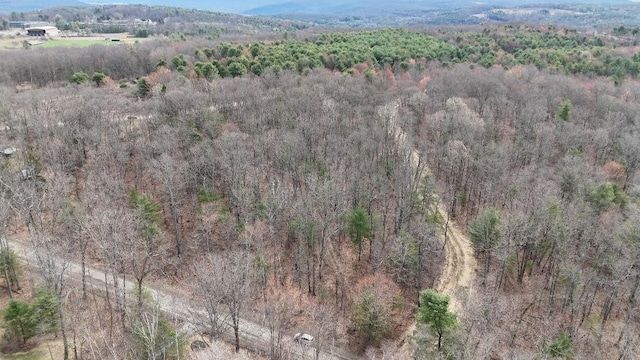 0 Welch Rd, Erwin, NY 14830