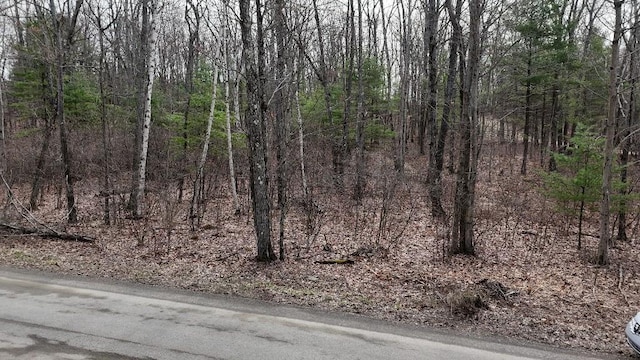 0 Welch Rd, Erwin, NY 14830