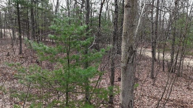 0 Welch Rd, Erwin, NY 14830