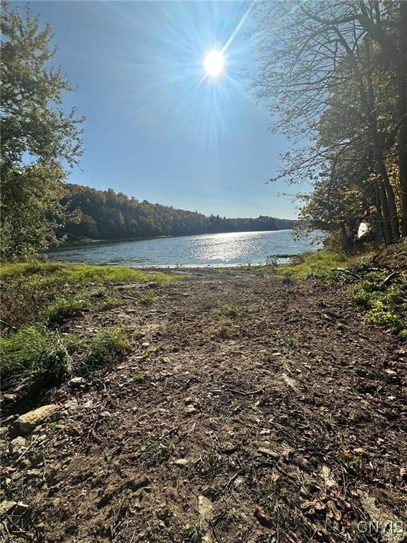 00 Sheley Rd Unit 85, Theresa, NY 13691