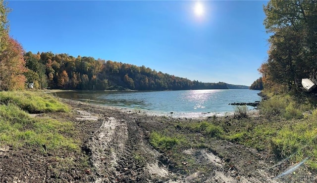 00 Sheley Rd Unit 85, Theresa, NY 13691