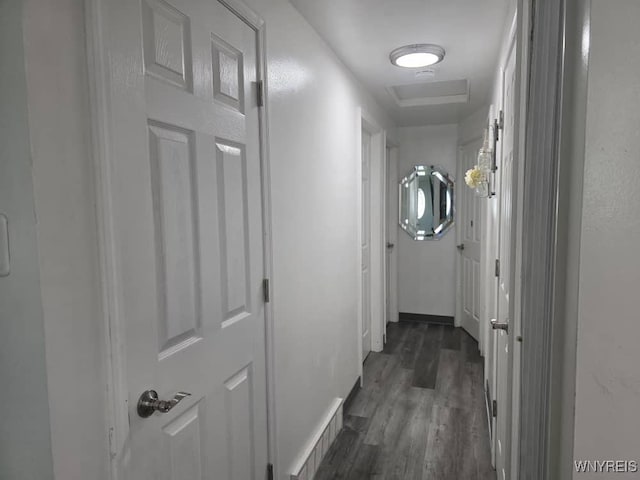 397 Broad St, Tonawanda-City, NY 14150 - corridor with dark wood-type flooring and baseboards