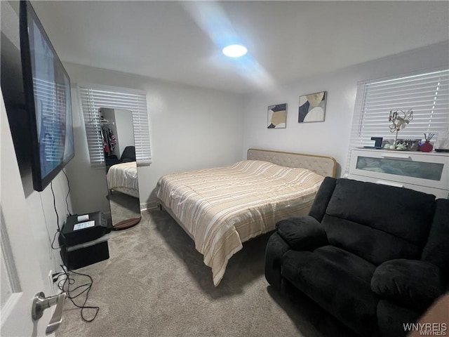 397 Broad St, Tonawanda-City, NY 14150 - bedroom featuring carpet floors