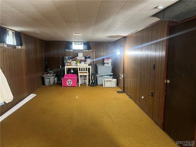 397 Broad St, Tonawanda-City, NY 14150 - basement featuring carpet flooring, wooden walls, and healthy amount of natural light