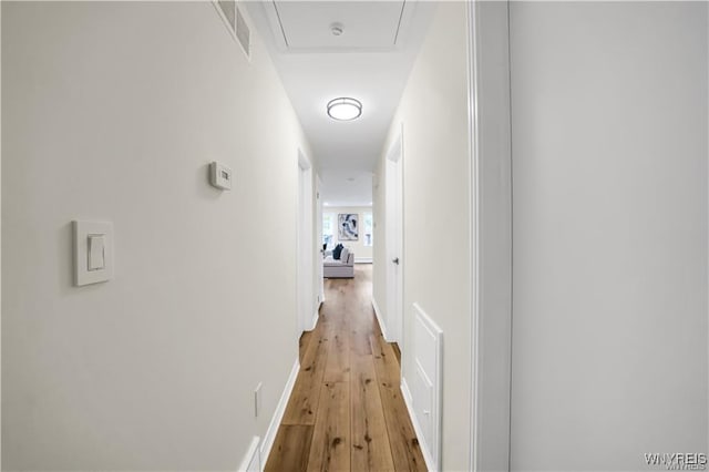 425 W Ln, Lewiston, NY 14092 - corridor with light wood finished floors and baseboards