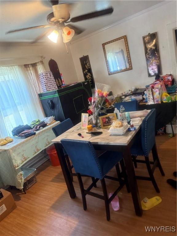 30 Woodell Ave, Cheektowaga, NY 14211 - dining area with wood finished floors, ceiling fan, and ornamental molding