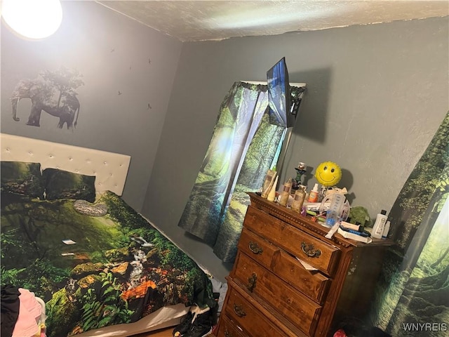 30 Woodell Ave, Cheektowaga, NY 14211 - view of bedroom