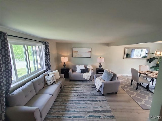 living area featuring wood finished floors