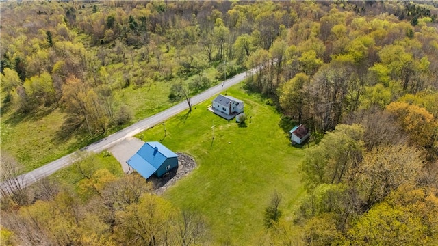 725 Arabia Rd, Summit, NY 12175 - view of subject property featuring a forest