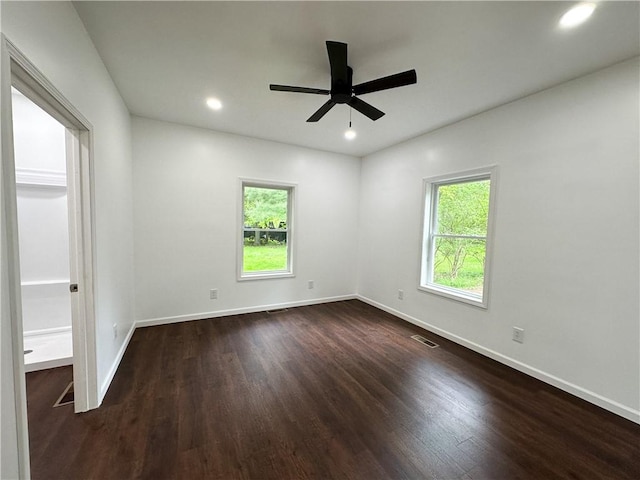 258 Mcmaster St, Bath, NY 14810 - unfurnished room featuring plenty of natural light, dark wood-type flooring, baseboards, and recessed lighting
