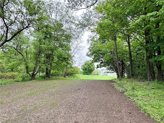258 Mcmaster St, Bath, NY 14810 - view of property's community