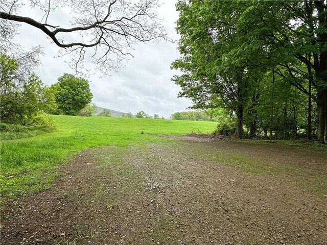 258 Mcmaster St, Bath, NY 14810 - view of green lawn