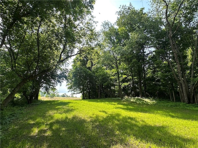 258 Mcmaster St, Bath, NY 14810 - view of yard