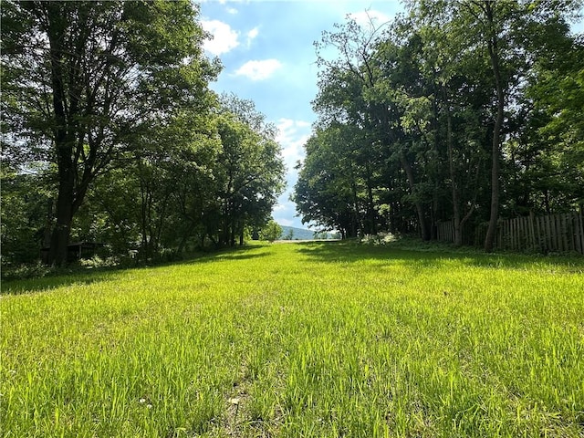258 Mcmaster St, Bath, NY 14810 - view of yard