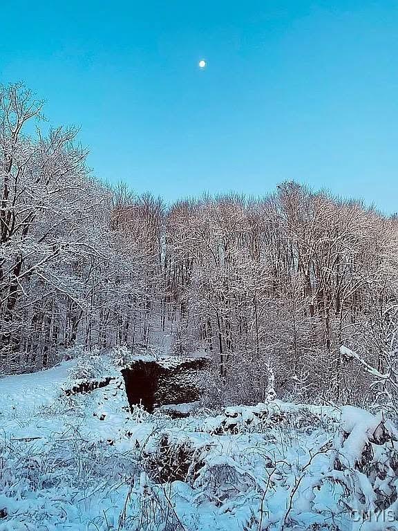 11812 River Rd, Florence, NY 13316 - photo 46